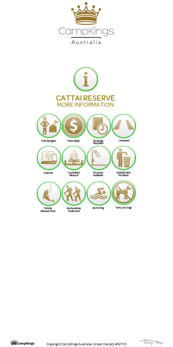 4-cattaicard-2.jpg